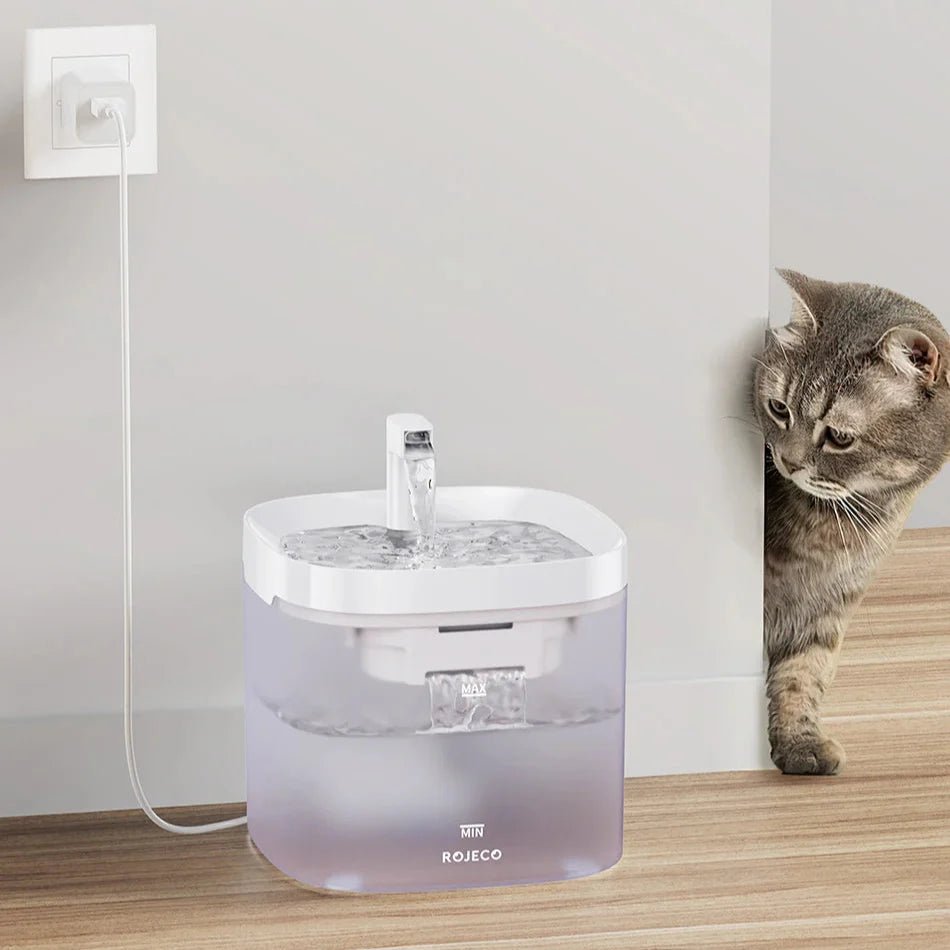 Intelligenter Katzentrinkbrunnen, automatischer Wasserspender für Haustiere - Needz - MarktIntelligenter Katzentrinkbrunnen, automatischer Wasserspender für Haustiereproduct_na